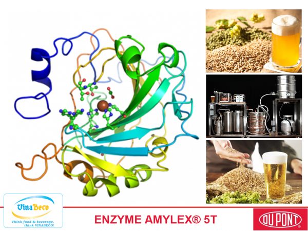 Enzyme Amylex 5T - VinaBeco - Công Ty CP Công Nghệ Bia Rượu Nước Giải Khát Việt Nam
